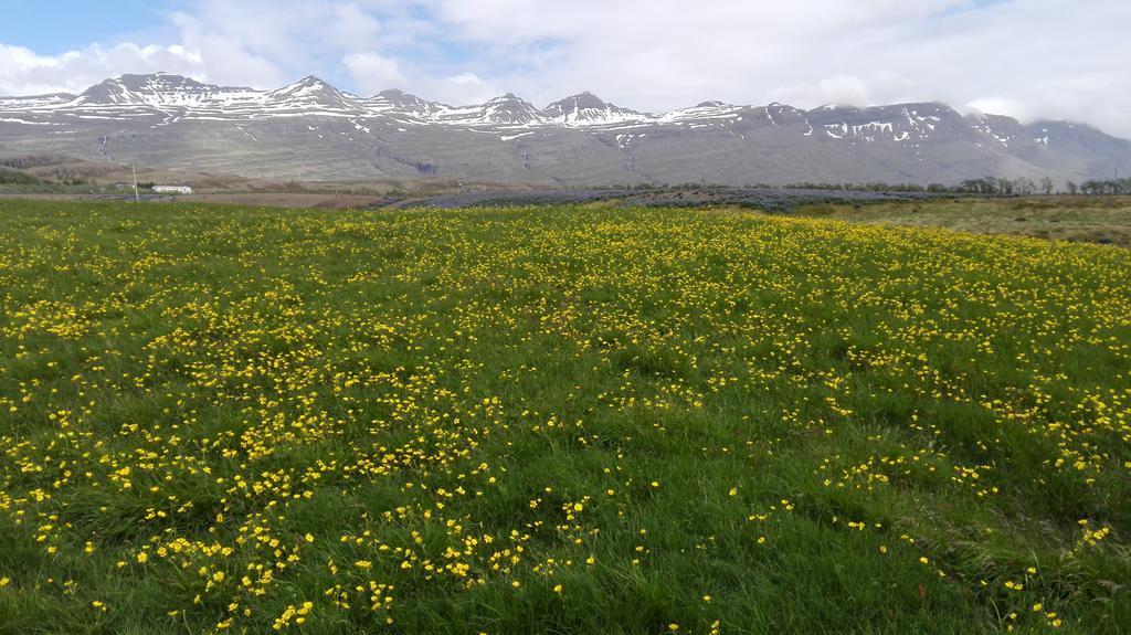 Hotel Stadarborg Breiðdalsvík Eksteriør billede